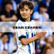 贝里内利(贝里内利集锦)