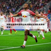 阿根廷世界杯球员名单(阿根廷足球队世界杯冠军)