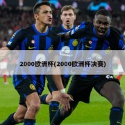 2000欧洲杯(2000欧洲杯决赛)