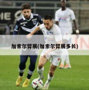 加索尔臂展(加索尔臂展多长)