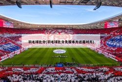 羽毛球比分(羽毛球比分先报本方还是对方)