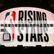 世界杯直播在哪里观看(世界杯直播在哪里观看电脑)
