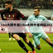 cba大牌外援(cba大牌外援降临2024)