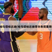 哈马德哈达迪(哈马德哈达迪得分表现集锦)