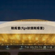斯库里(fgo狄俄斯库里)