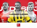 nba新浪直播间(nba新浪视频)