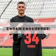 王琳羽毛球(王琳羽毛球世界冠军)