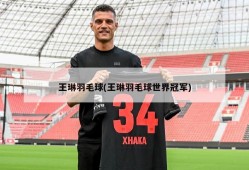 王琳羽毛球(王琳羽毛球世界冠军)