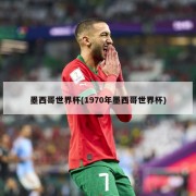 墨西哥世界杯(1970年墨西哥世界杯)