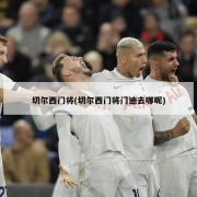 切尔西门将(切尔西门将门迪去哪呢)