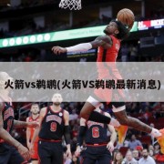 火箭vs鹈鹕(火箭VS鹈鹕最新消息)