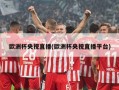 欧洲杯央视直播(欧洲杯央视直播平台)