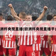 欧洲杯央视直播(欧洲杯央视直播平台)