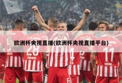 欧洲杯央视直播(欧洲杯央视直播平台)