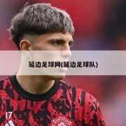 延边足球网(延边足球队)
