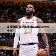 足球数据(足球数据网站whoscored中文)
