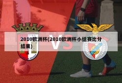 2010欧洲杯(2010欧洲杯小组赛比分结果)