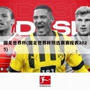 国足世界杯(国足世界杯预选赛赛程表2025)