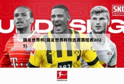 国足世界杯(国足世界杯预选赛赛程表2025)