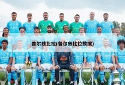 普尔兹比拉(普尔兹比拉数据)