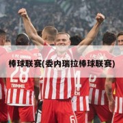 棒球联赛(委内瑞拉棒球联赛)