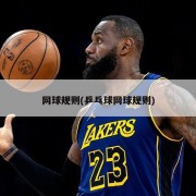 网球规则(乒乓球网球规则)