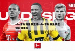 nba季后赛免费直播(nba季后赛免费直播在哪里看)