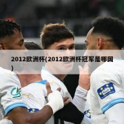 2012欧洲杯(2012欧洲杯冠军是哪国)