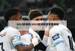 2012欧洲杯(2012欧洲杯冠军是哪国)