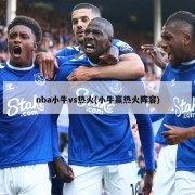 nba小牛vs热火(小牛赢热火阵容)