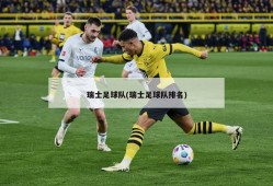 瑞士足球队(瑞士足球队排名)