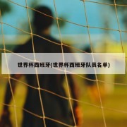世界杯西班牙(世界杯西班牙队员名单)