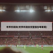 世界杯回放(世界杯回放完整版在哪里看)