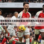 切尔西淘汰马竞欧冠晋级(切尔西淘汰马竞欧冠晋级了吗)