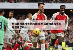 切尔西淘汰马竞欧冠晋级(切尔西淘汰马竞欧冠晋级了吗)