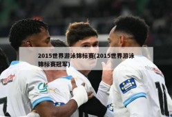 2015世界游泳锦标赛(2015世界游泳锦标赛冠军)