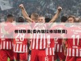 棒球联赛(委内瑞拉棒球联赛)