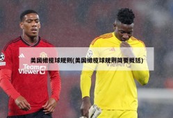 美国橄榄球规则(美国橄榄球规则简要概括)