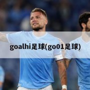 goalhi足球(go01足球)