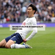 澳大利亚羽毛球公开赛(澳大利亚羽毛球公开赛明天半决赛)