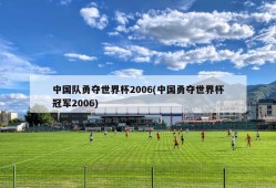中国队勇夺世界杯2006(中国勇夺世界杯冠军2006)