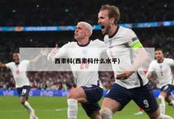 西索科(西索科什么水平)