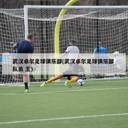 武汉卓尔足球俱乐部(武汉卓尔足球俱乐部 队员 王)