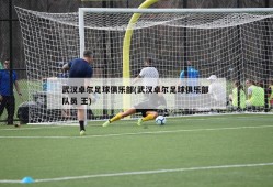 武汉卓尔足球俱乐部(武汉卓尔足球俱乐部 队员 王)