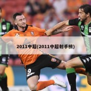 2011中超(2011中超射手榜)
