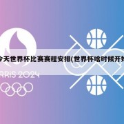今天世界杯比赛赛程安排(世界杯啥时候开始)