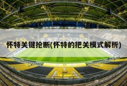 怀特关键抢断(怀特的把关模式解析)