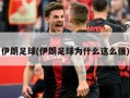 伊朗足球(伊朗足球为什么这么强)