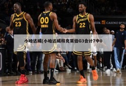 小哈达威(小哈达威和克莱伯G3合计7中0)
