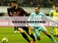 世界杯数据(梅西世界杯数据)